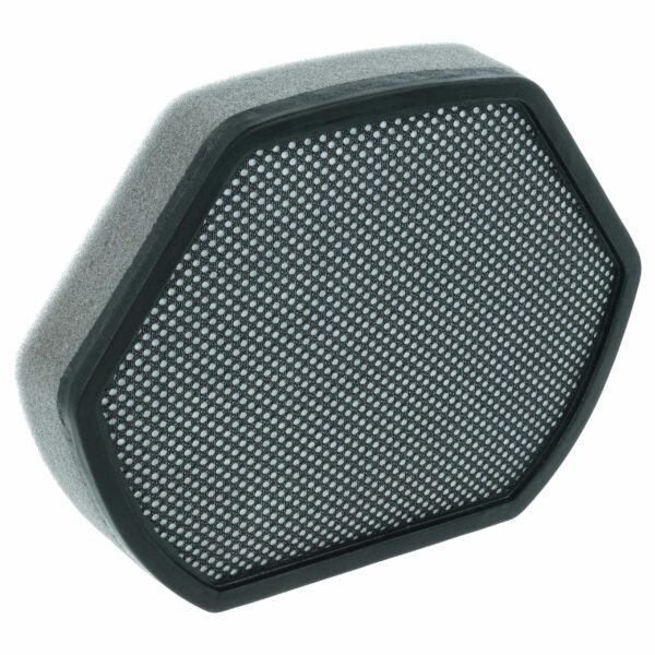 Filtro de Substituição vhbw para Aspiradores Bosch e Siemens BD-00579275