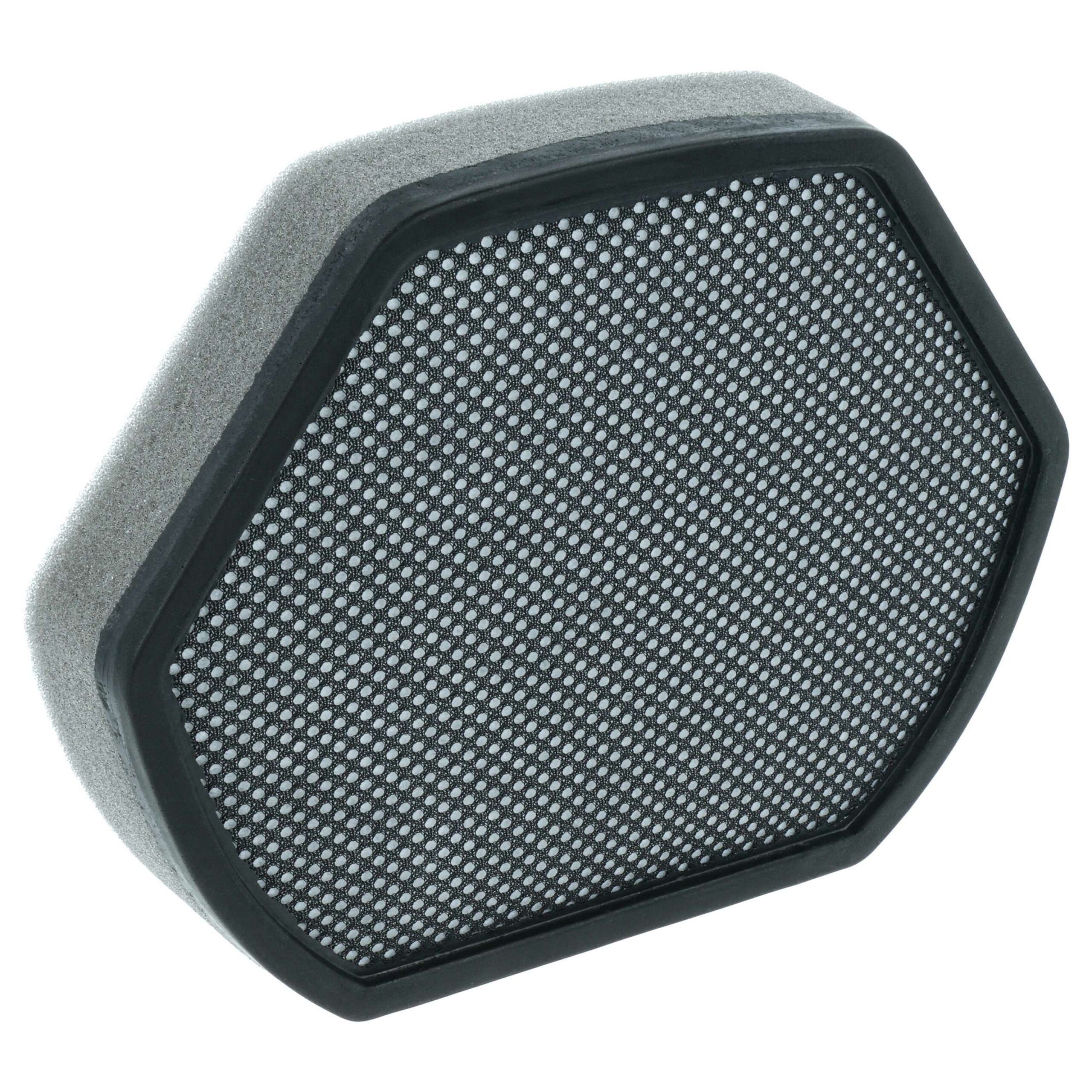Filtro de Substituição vhbw para Aspiradores Bosch e Siemens BD-00579275