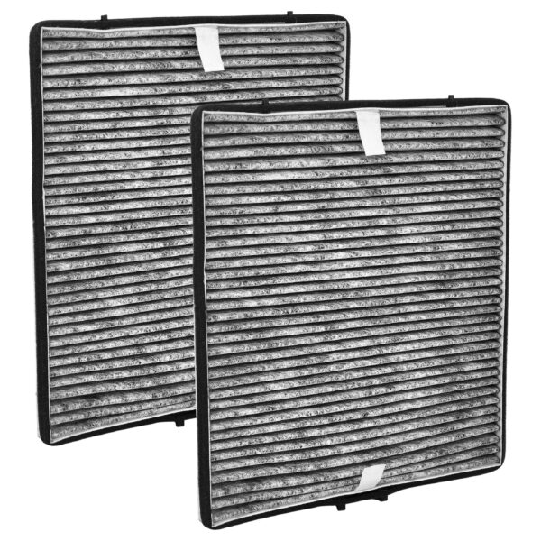 2x Filtro de Carvão Ativado Compatível com Miele 11762650, DKF 25-P