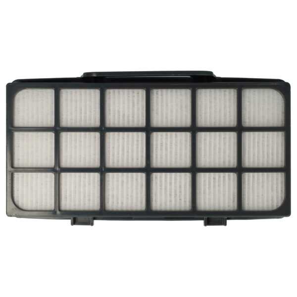 Filtro EPA vhbw para Rowenta RS-RT4310, ZR920101