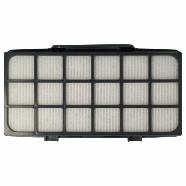 Filtro EPA vhbw para Rowenta RS-RT4310, ZR920101