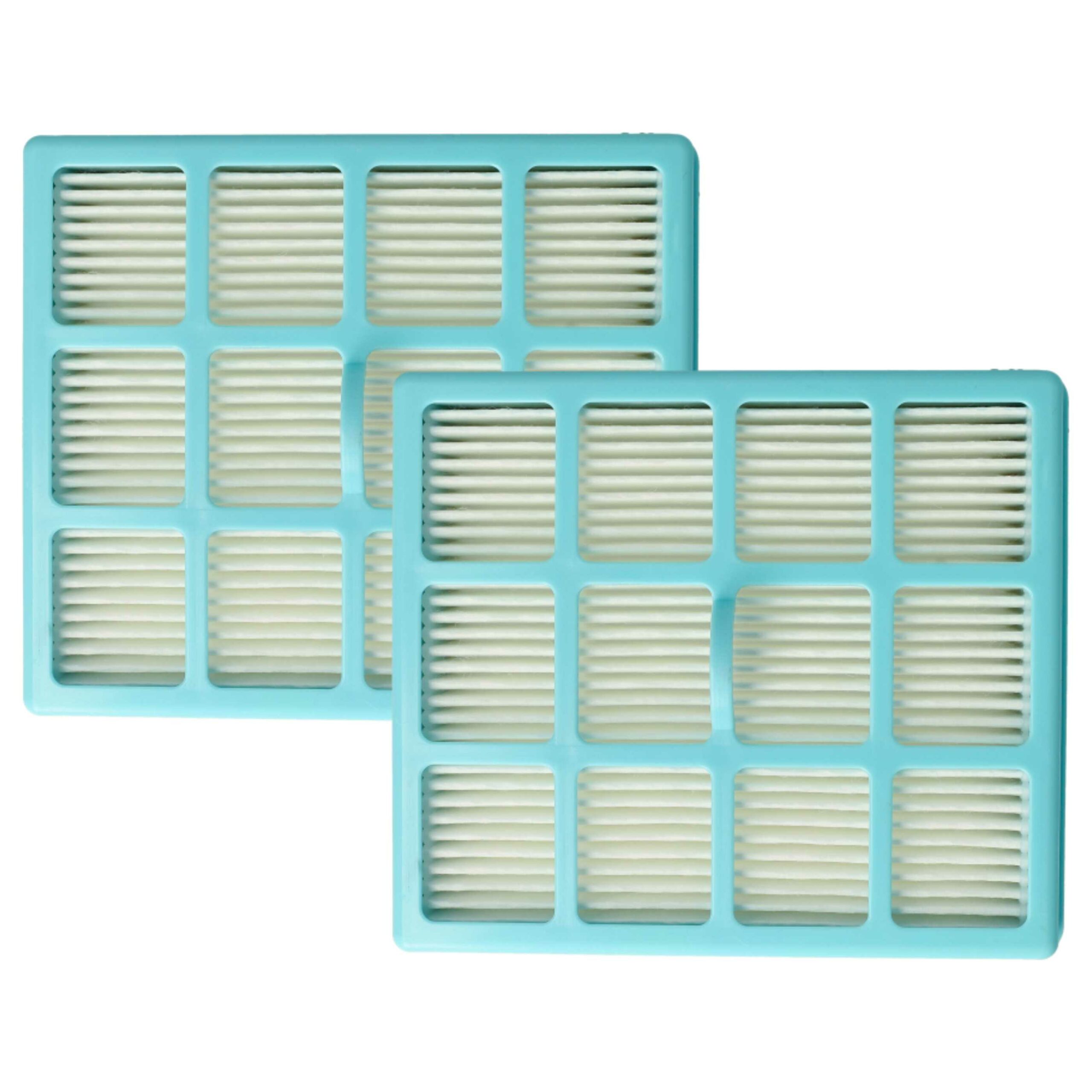 2x Filtro de Substituição vhbw para Aspirador Philips CRP495, CP0259/01, 432200493941