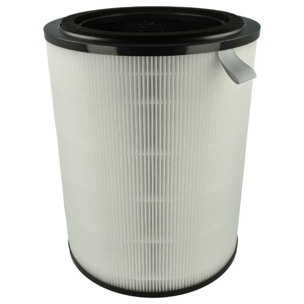Filtro vhbw para Philips AC2939, FY2180/30 - Pré-filtro + HEPA + Carvão Ativado