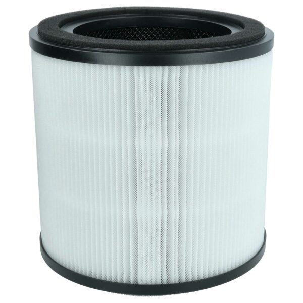Filtro HEPA vhbw compatível com AEG AFFBRZ2, AFFCAR2 para umidificador de ar AEG
