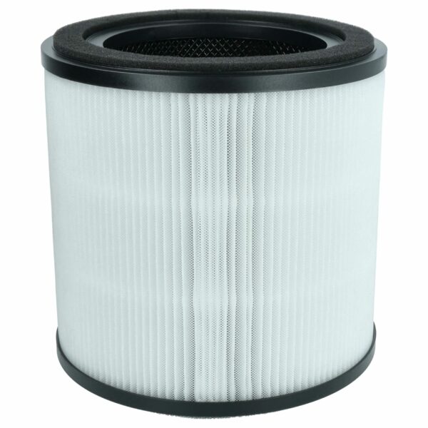 Filtro HEPA vhbw compatível com AEG AFFBRZ2, AFFCAR2 para umidificador de ar AEG