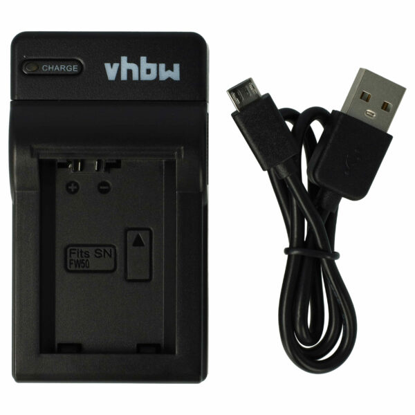 Carregador de Bateria USB-C + Cabo USB-C para Sony DSC-RX10 III - vhbw