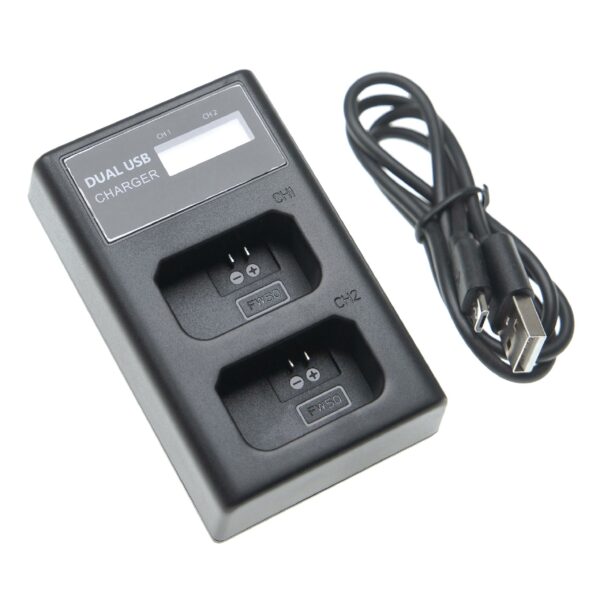 Carregador de Bateria Micro-USB + USB-C com Cabo para Sony NEX-3 - vhbw