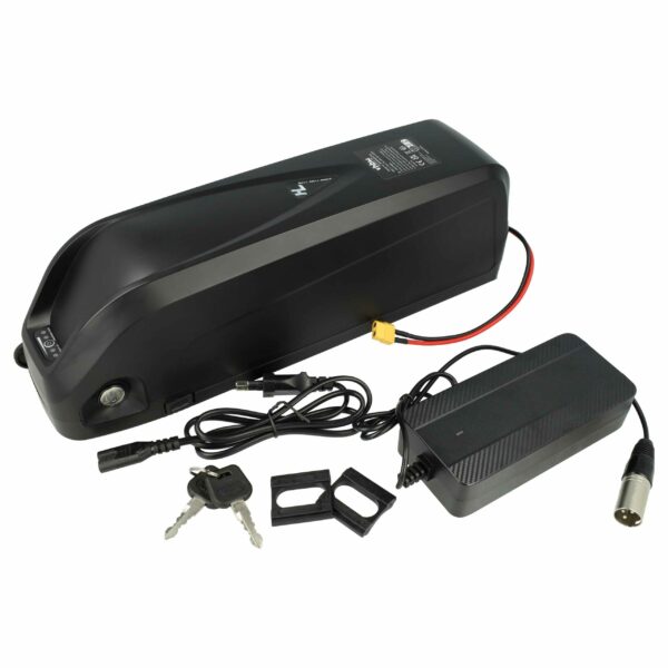 Bateria E-Bike vhbw Compatível Hailong Downtube 48V 19.2Ah com Carregador