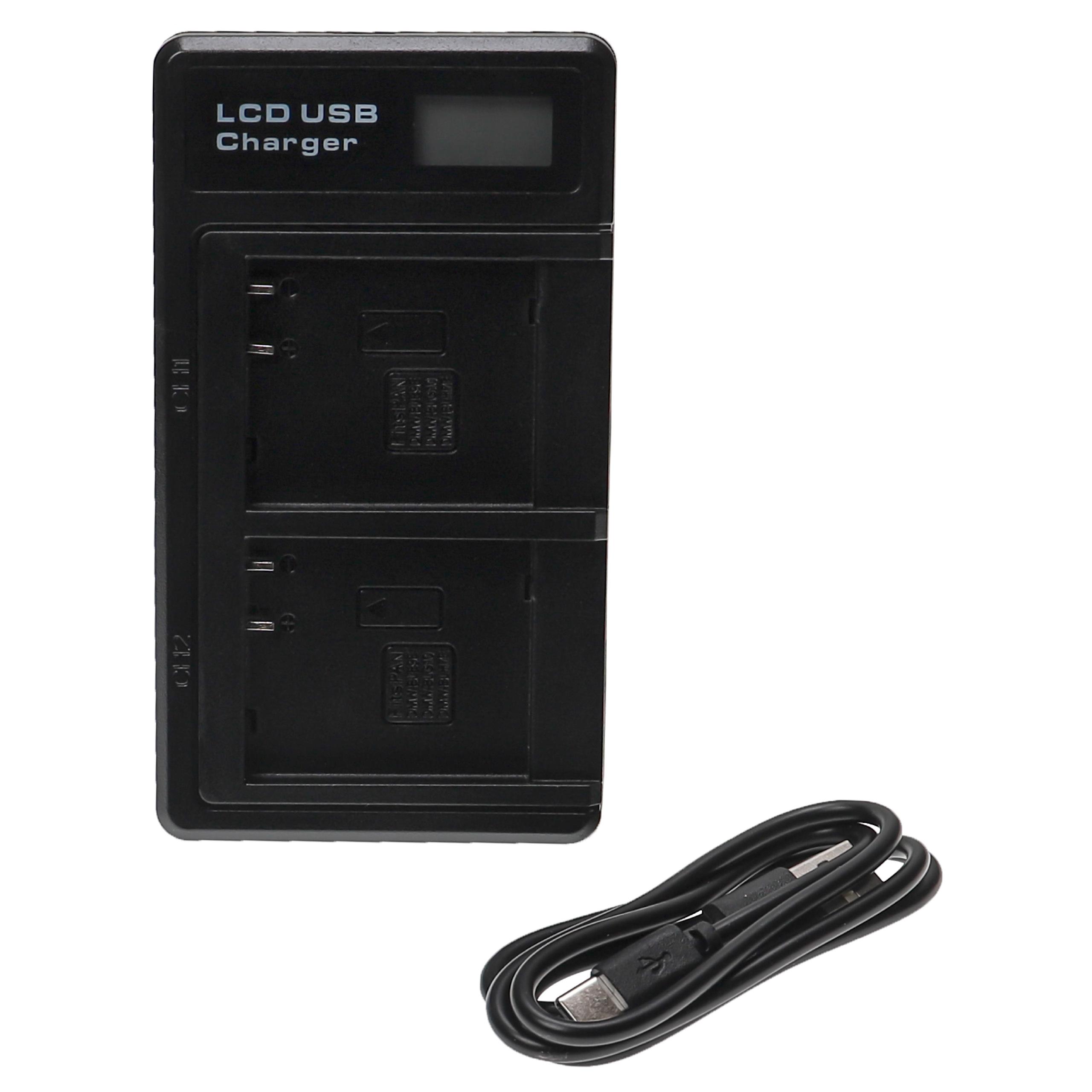 Carregador de Bateria USB-C com Cabo para Câmara Leica e Panasonic Lumix - 0.6 A