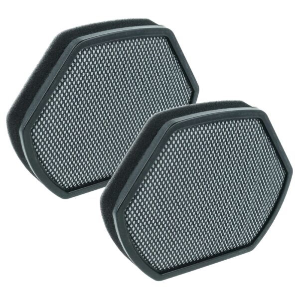 2x Filtro de Espuma vhbw para Aspirador Bosch (substitui 12012937)
