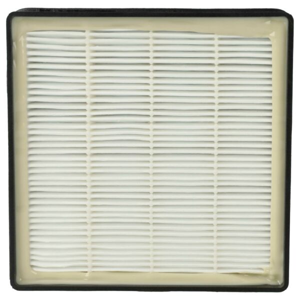 Filtro vhbw para Rowenta RS-RT3186, 2210016094