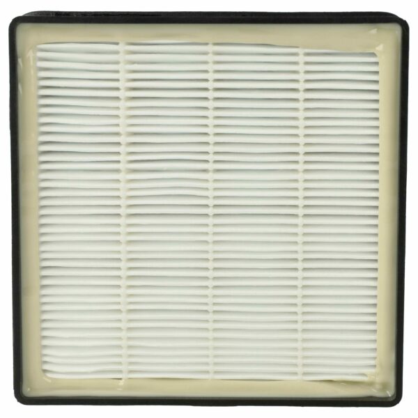 Filtro vhbw para Rowenta RS-RT3186, 2210016094