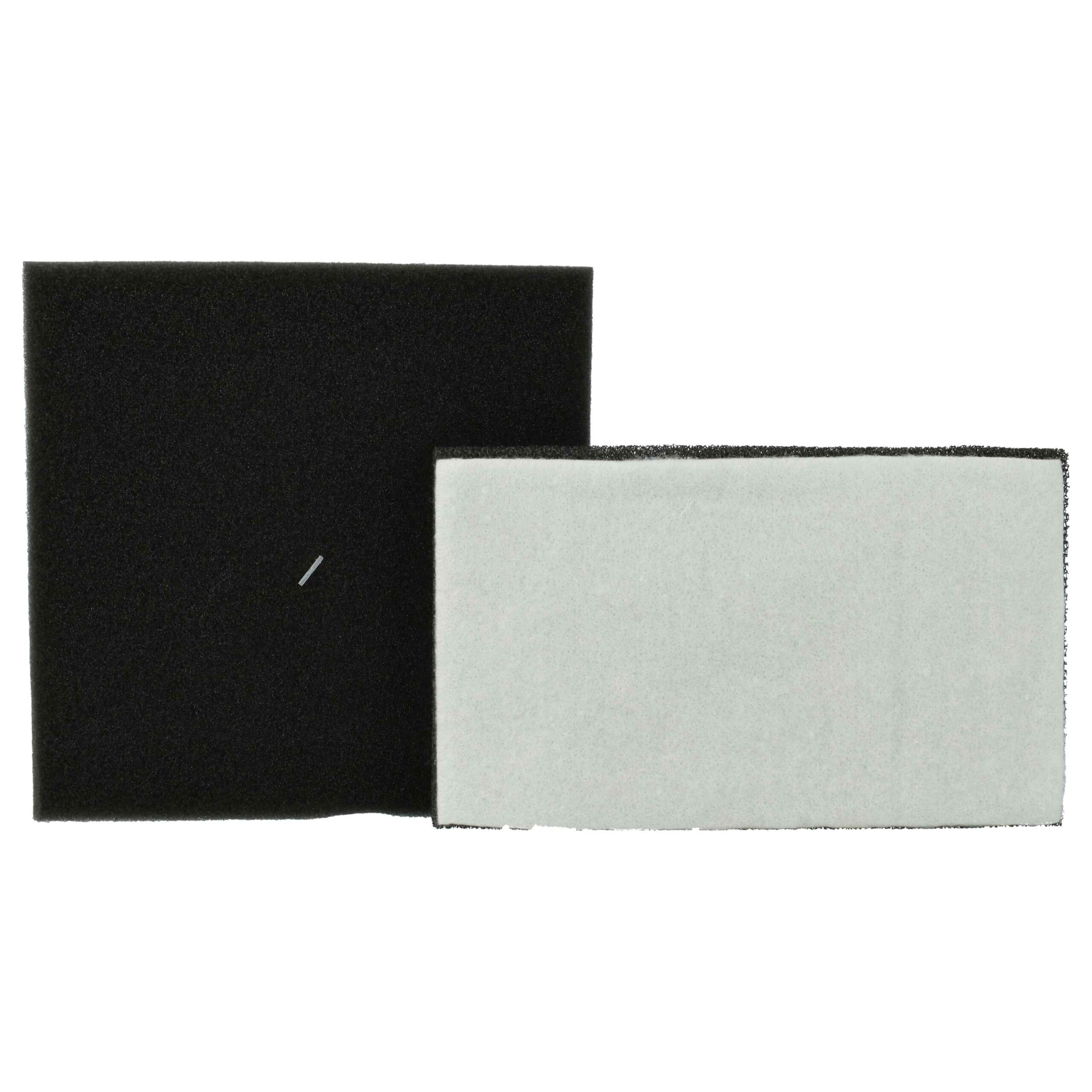 Conjunto de Filtros vhbw para Aspirador Philips (Substitui Philips XV1220, CP0789)