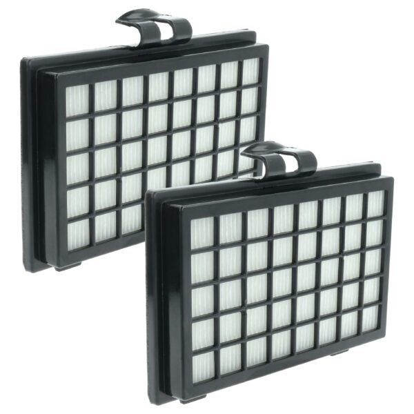 2x Filtro de Substituição vhbw 2799860 para Aspiradores Fakir, Classe H11