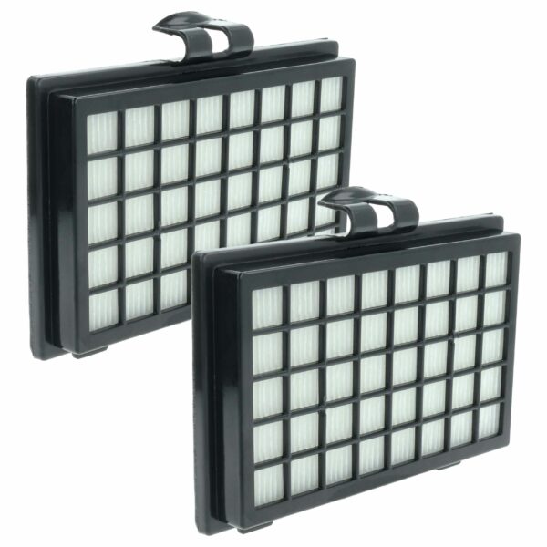 2x Filtro de Substituição vhbw 2799860 para Aspiradores Fakir, Classe H11