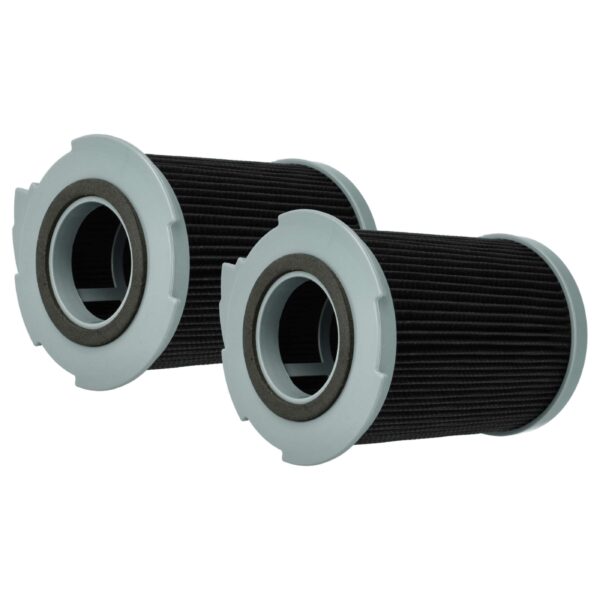 2x Filtros de substituição vhbw para aspiradores LG FR-5353