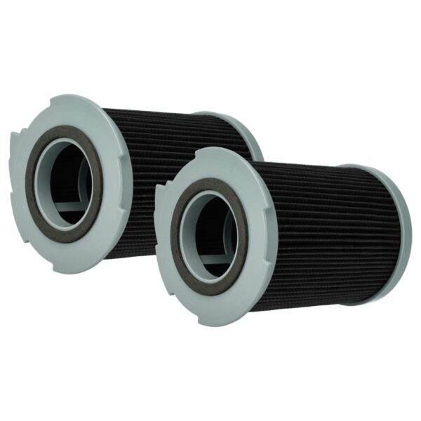 2x Filtros de substituição vhbw para aspiradores LG FR-5353