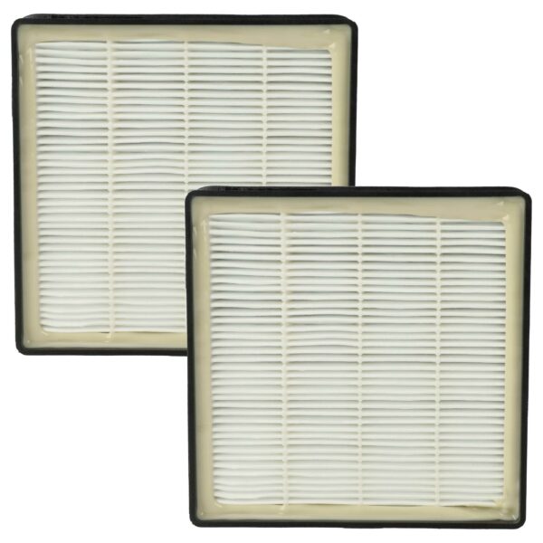 2x Filtro de Substituição vhbw para Rowenta RS-RT3186, 2210016094