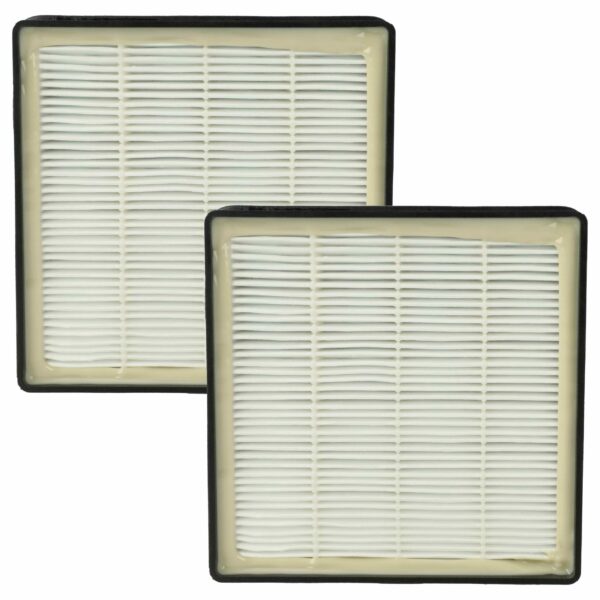 2x Filtro de Substituição vhbw para Rowenta RS-RT3186, 2210016094