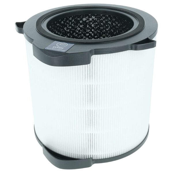 Filtro Combinado Substituição para AEG AFDCAR4 - HEPA (H13) + Carvão Ativado vhbw