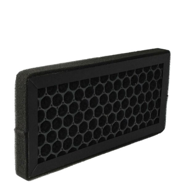 Filtro de Carvão Ativado vhbw compatível com Purificador Baren B-H04 e Klarstein