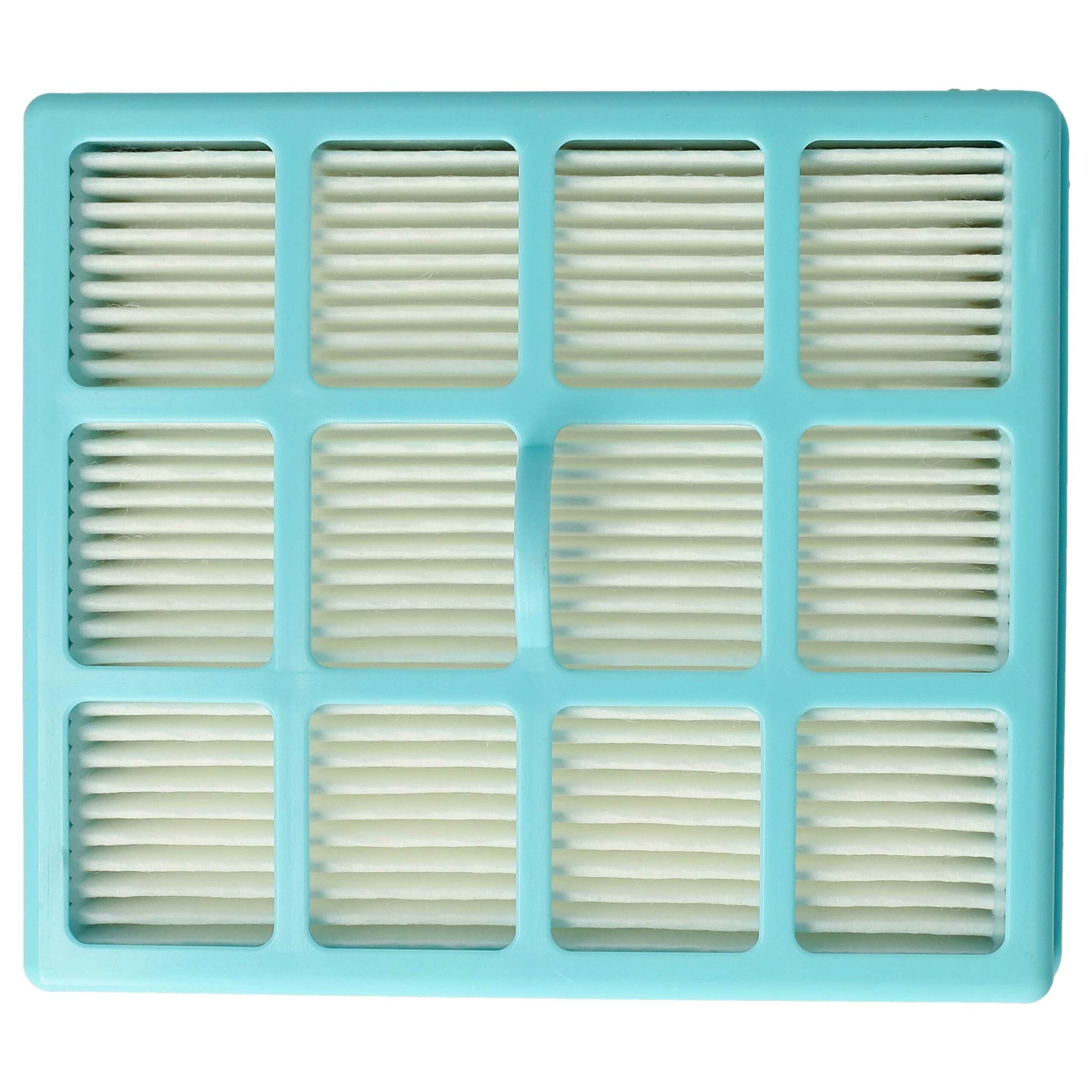Filtro de Substituição vhbw para Aspiradores Philips CRP495, CP0259/01