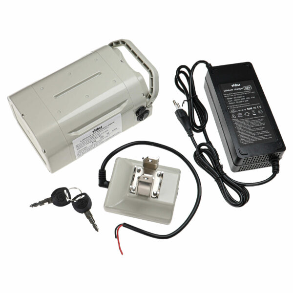 Bateria vhbw para Bicicleta Elétrica Stricker - 36 V 8,7 Ah Li-Ion com Carregador Cinzento