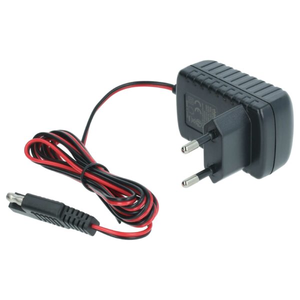 Carregador de Bateria de Arranque vhbw para Honda, MTD, Scheppach, Makita e outros - 12 V, 2 m