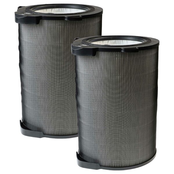 2x Filtro HEPA vhbw compatível com AEG AX9 CARE360, AFDCAR6, 9009233041, AFDBTH6 para Electrolux