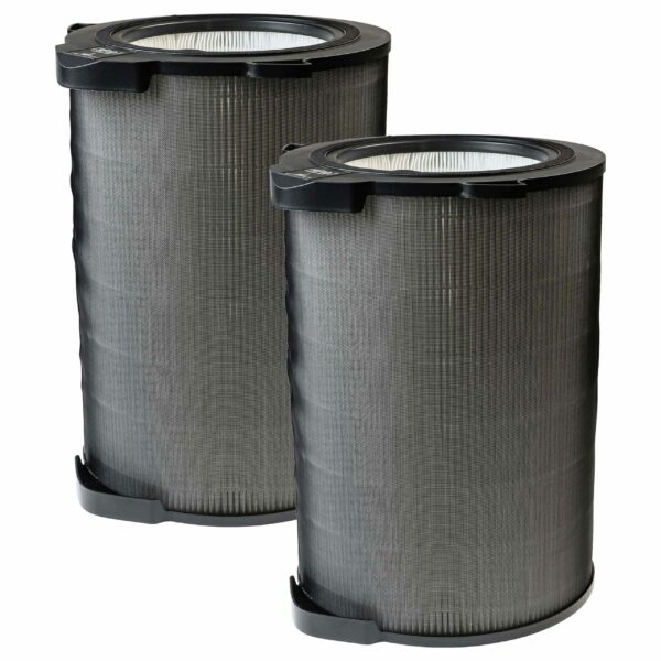 2x Filtro HEPA vhbw compatível com AEG AX9 CARE360, AFDCAR6, 9009233041, AFDBTH6 para Electrolux