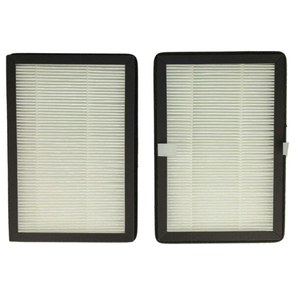 Pack 2x Filtro de Ar para Rowenta XD6520F0 - Filtro de Partículas vhbw