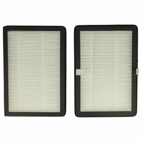 Pack 2x Filtro de Ar para Rowenta XD6520F0 - Filtro de Partículas vhbw